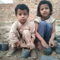 Green Seekers Activity